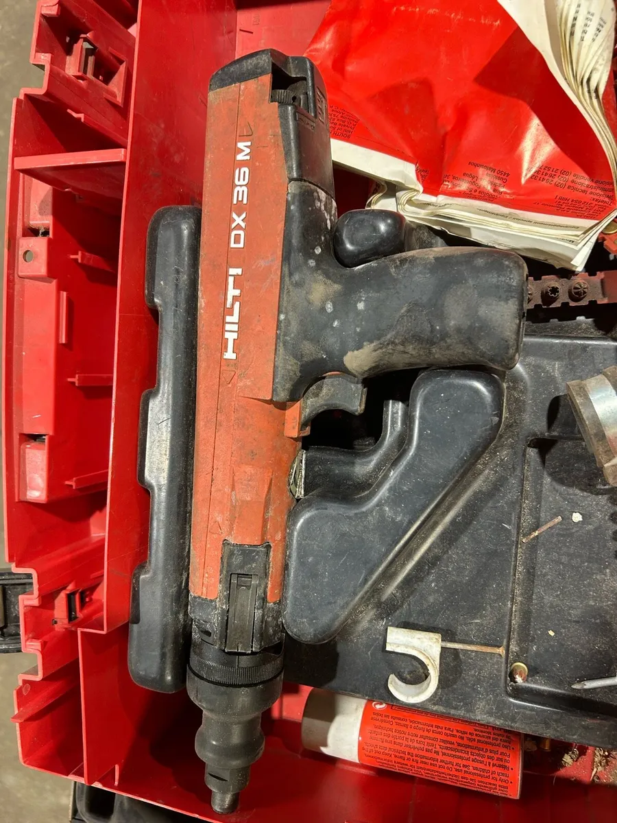 Yard clear out - Image 2