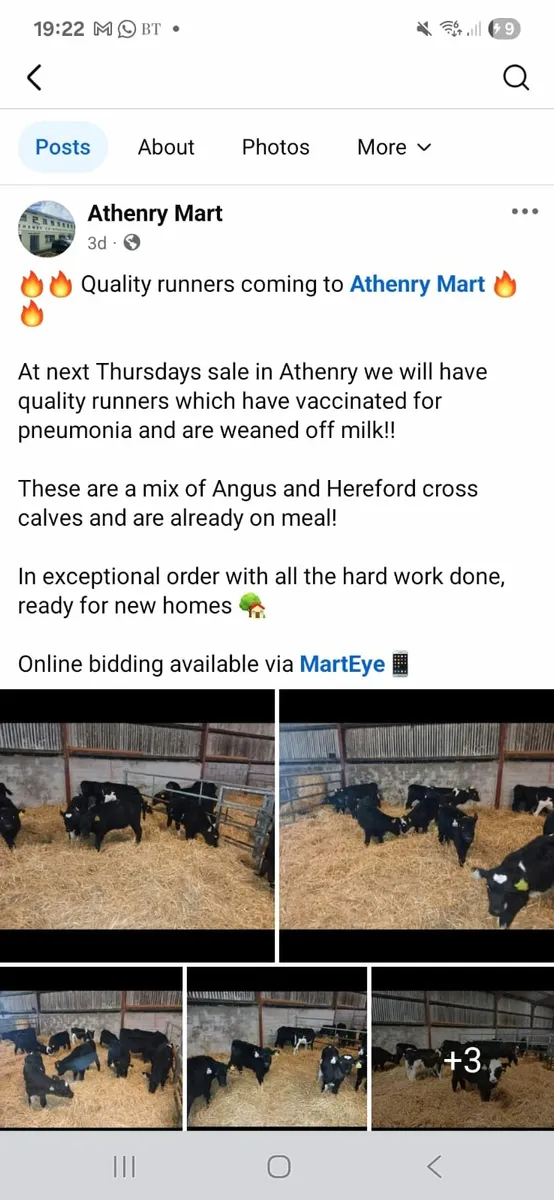 Runners Sale Athenry Jan 22nd - Image 2
