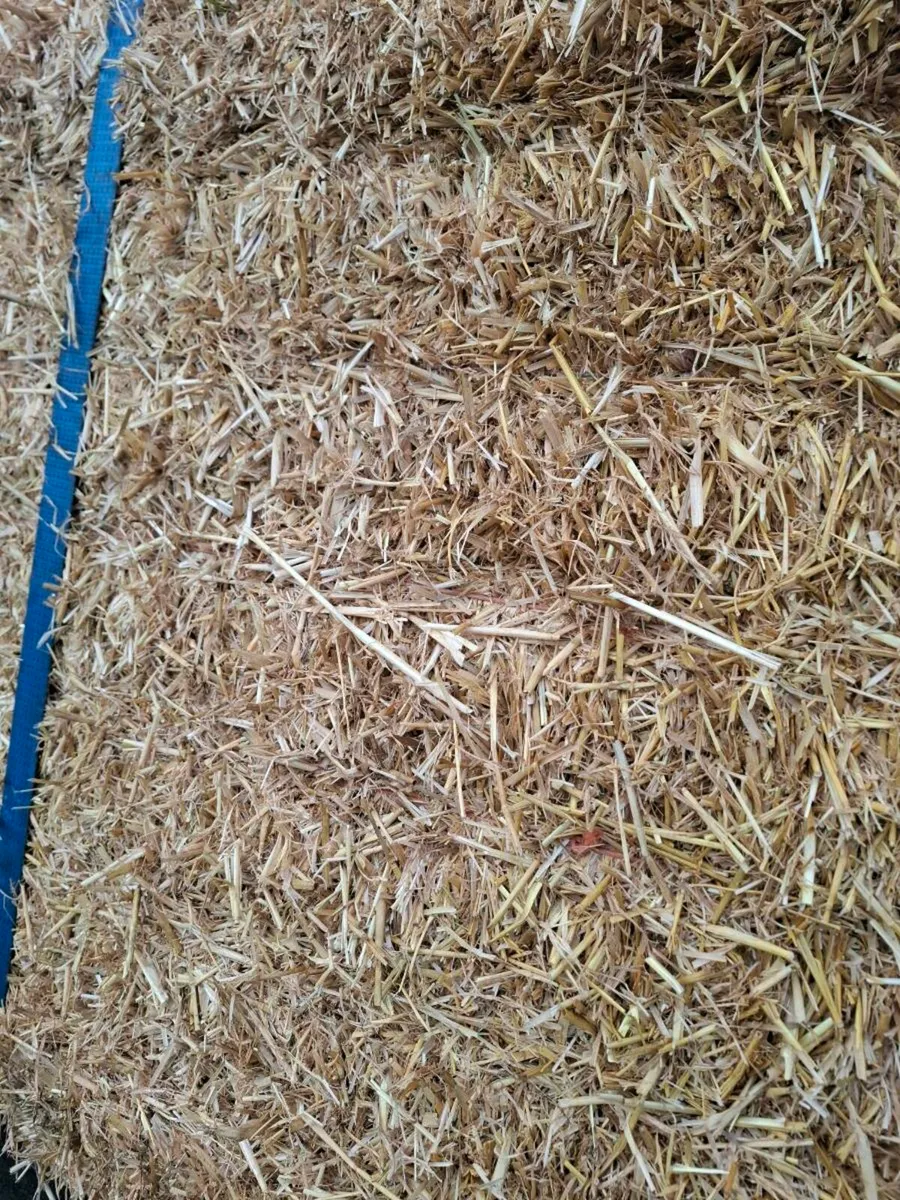 Barley and wheat straw - Image 3