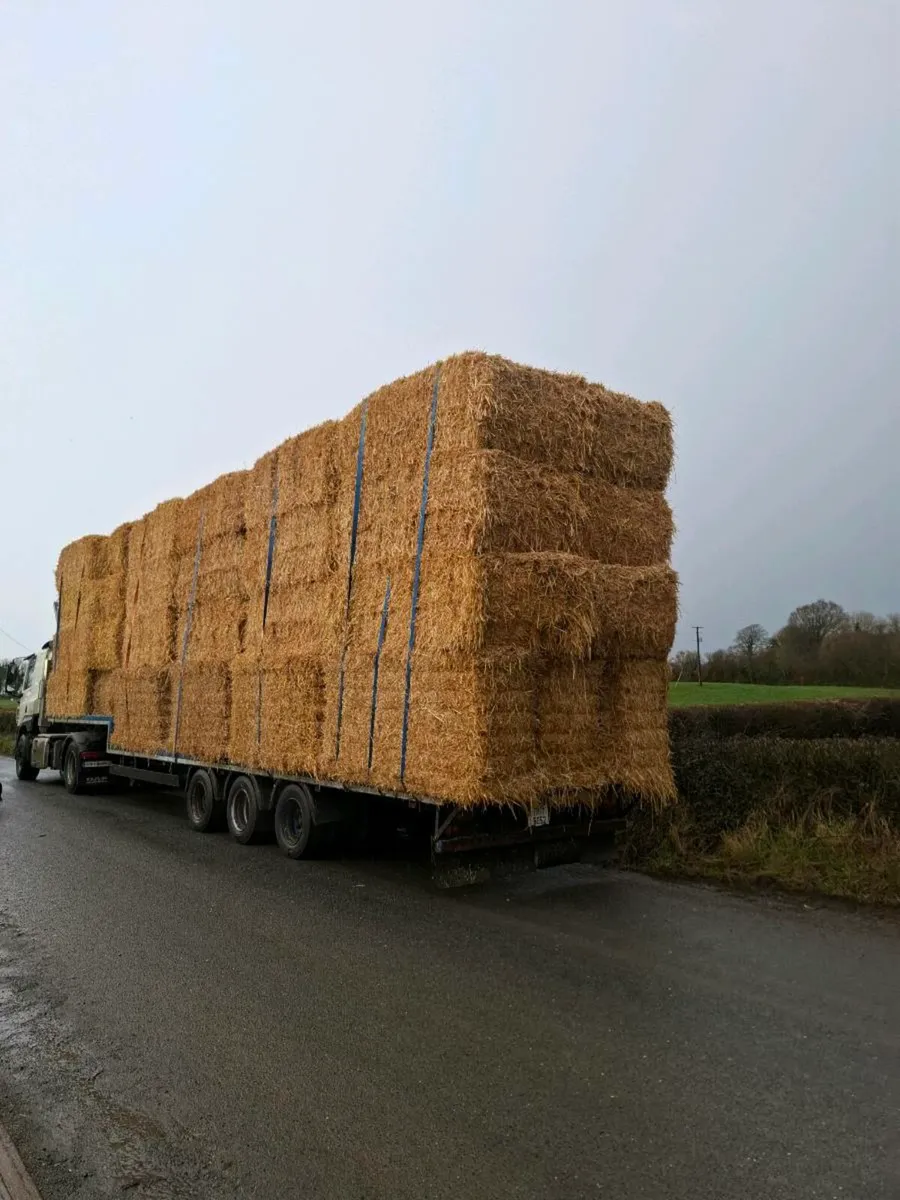 Barley and wheat straw - Image 1