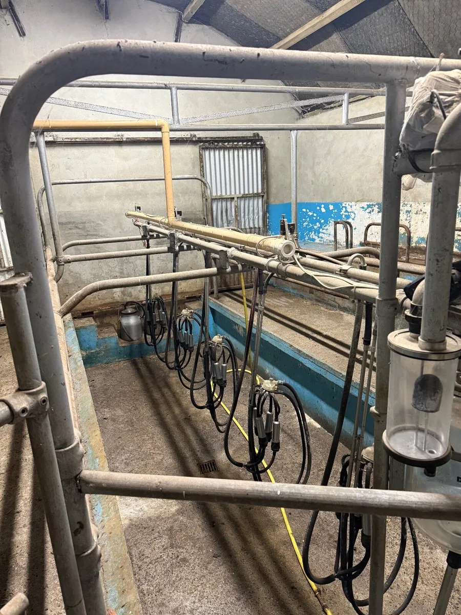 Six unit Dairymaster milking parlour - Image 1