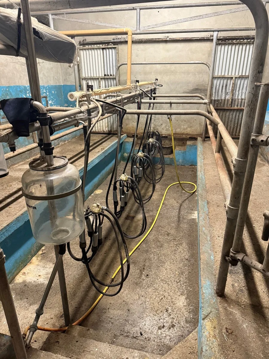 Six unit Dairymaster milking parlour - Image 2