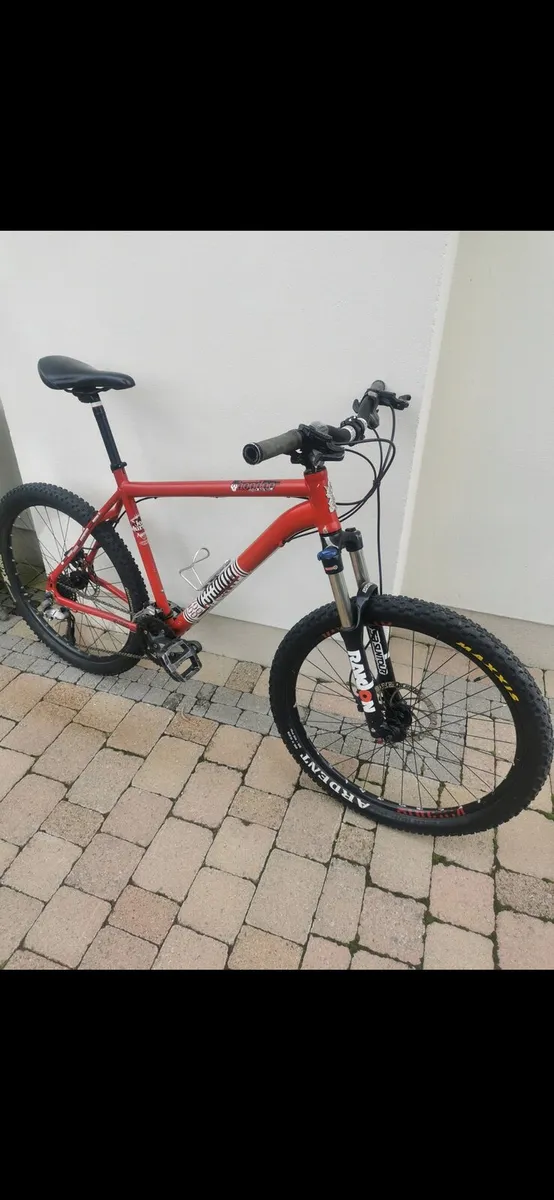 Mountain Bike - Image 1