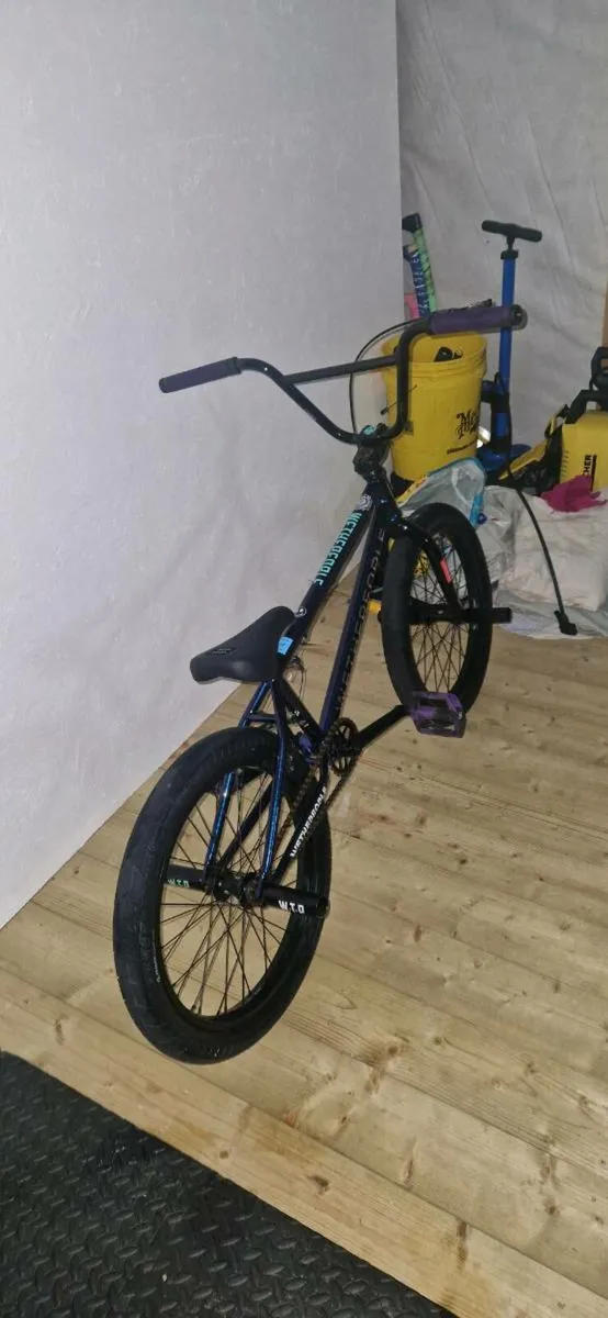 Wethepeople bmx - Image 3