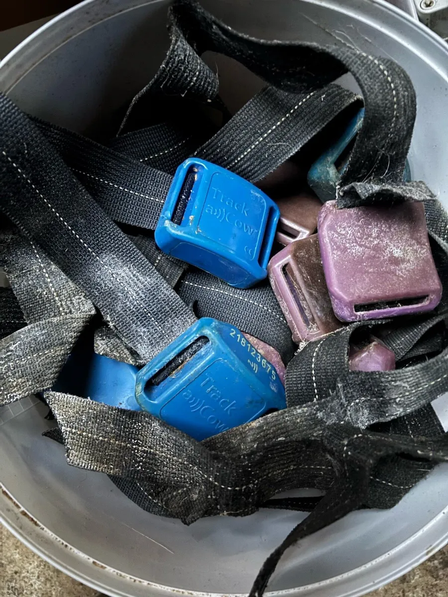 Track a Cow Heat detection system - Image 3