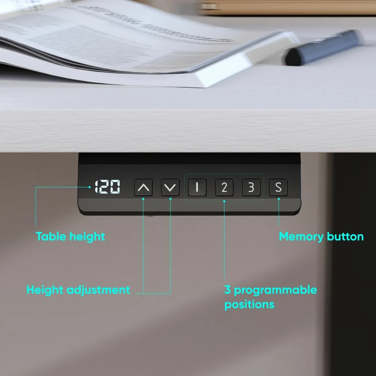Standing Desk Frame Dual Motor up to 100 kg - Image 4