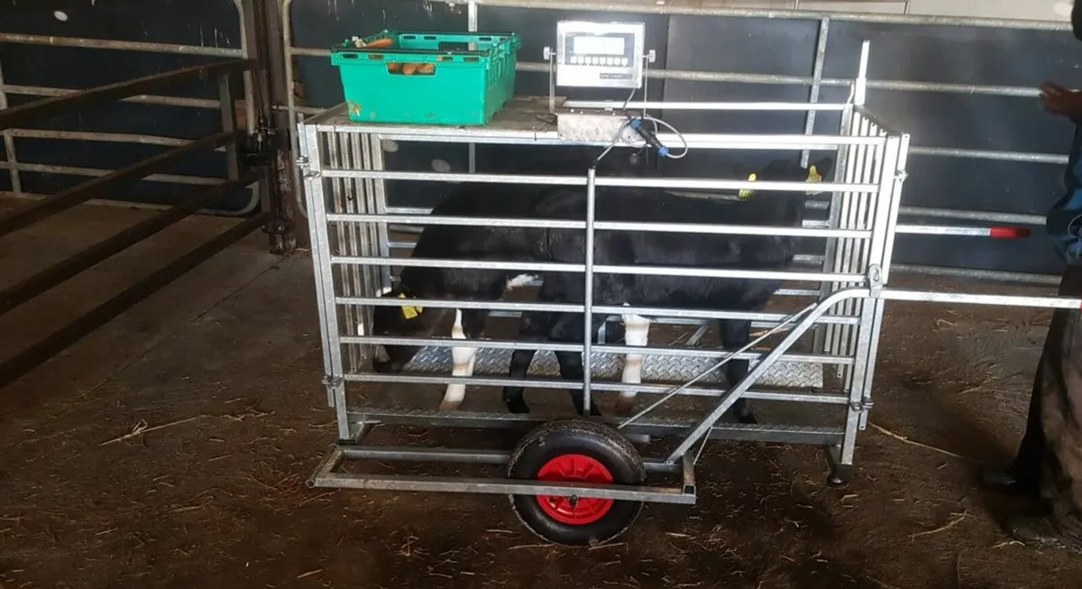 Transporter Cart scale - Image 4