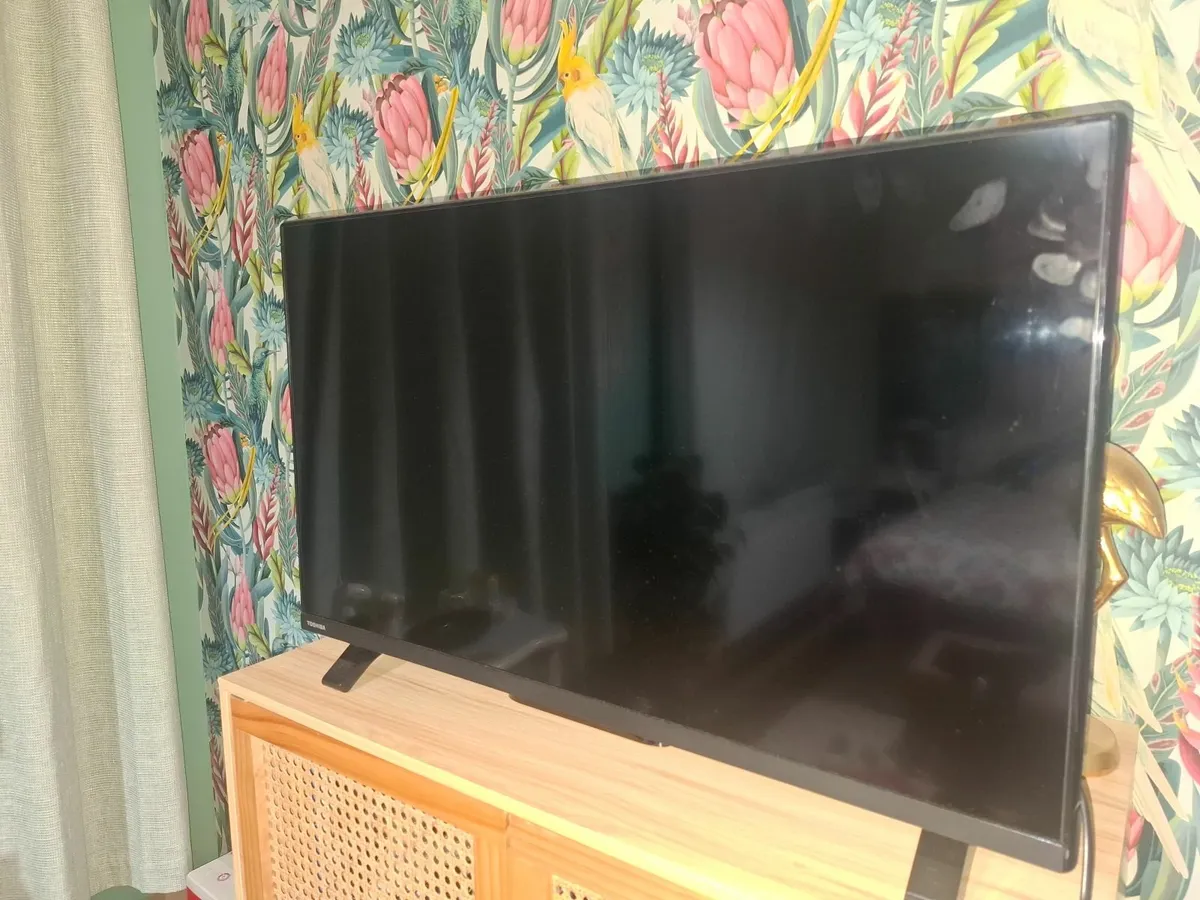 Television - Image 3