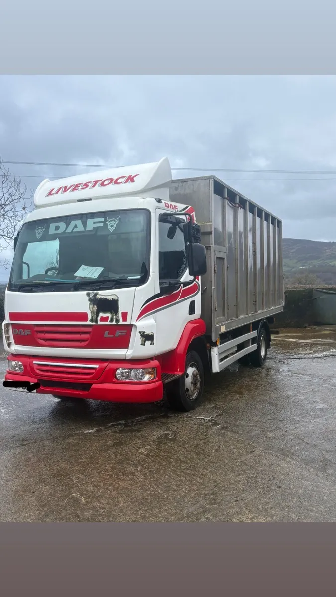 DAF 2008 livestock lorry - Image 2