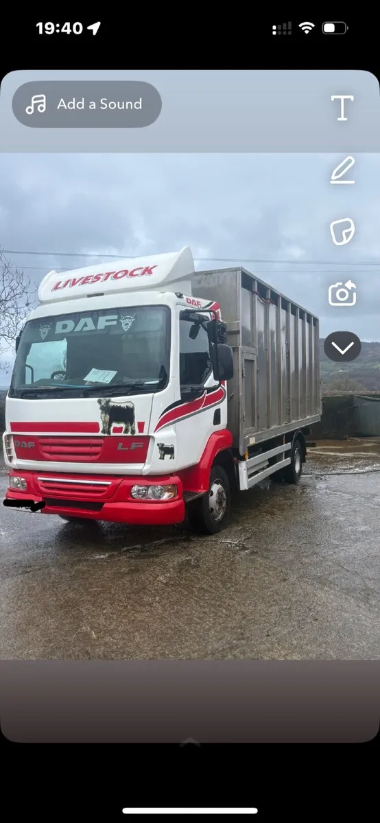DAF 2008 livestock lorry - Image 3