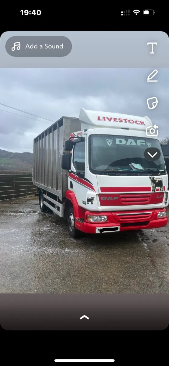 DAF 2008 livestock lorry - Image 1