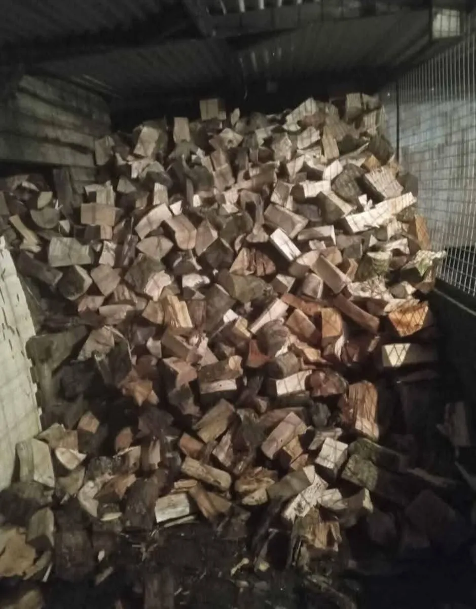 ⚠️⚠️ firewood⚠️⚠️ - Image 2