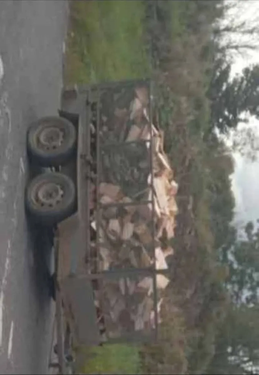 ⚠️⚠️ firewood⚠️⚠️ - Image 3