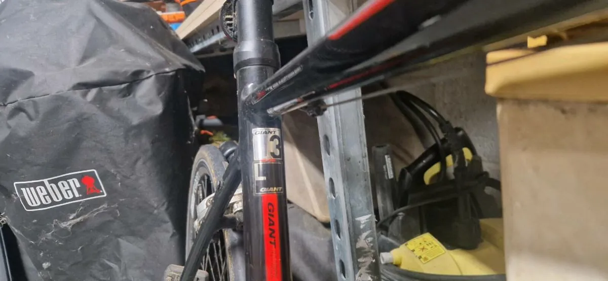 Giant rapid 3 - Large - Image 1