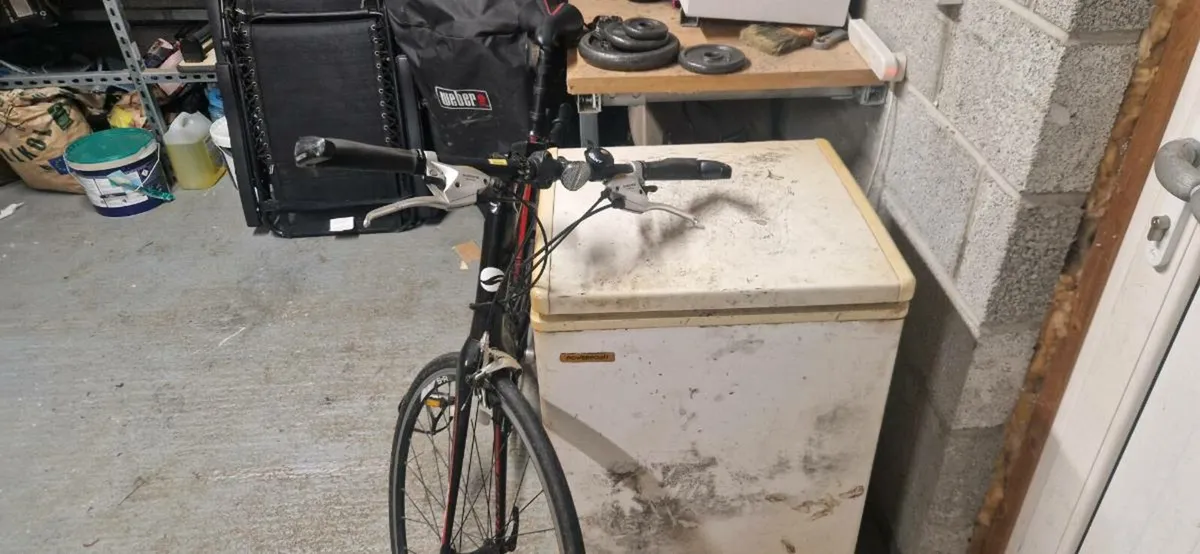 Giant rapid 3 - Large - Image 3