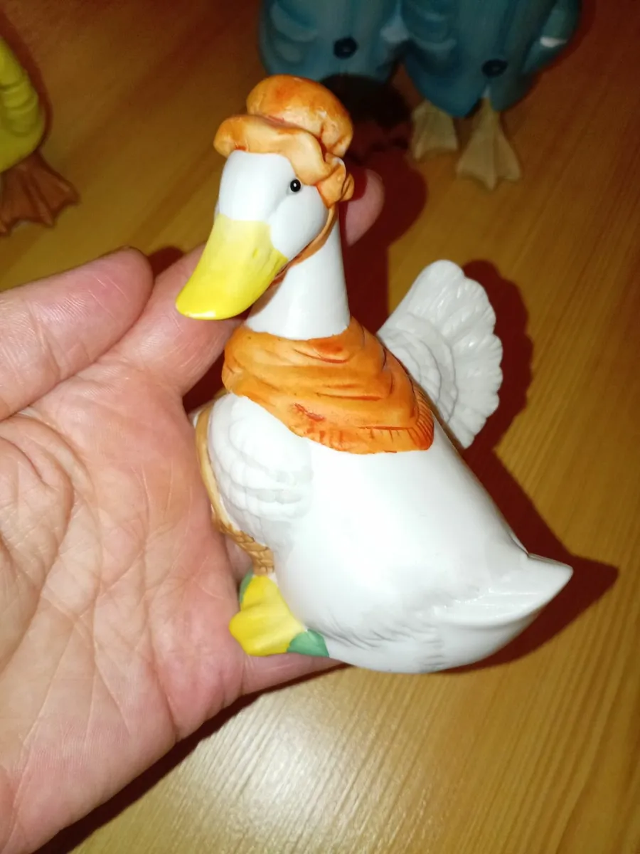 Duck decor - Image 4