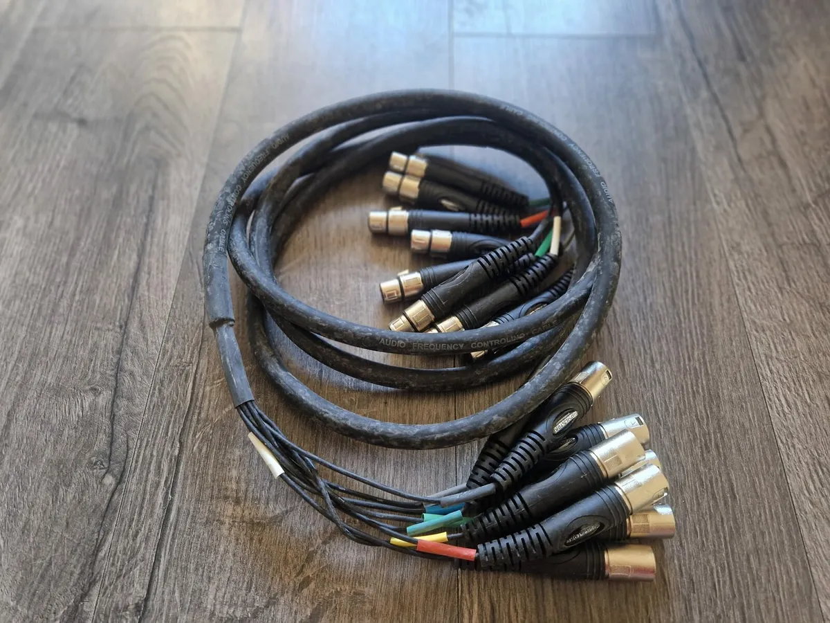 Xlr snake cable