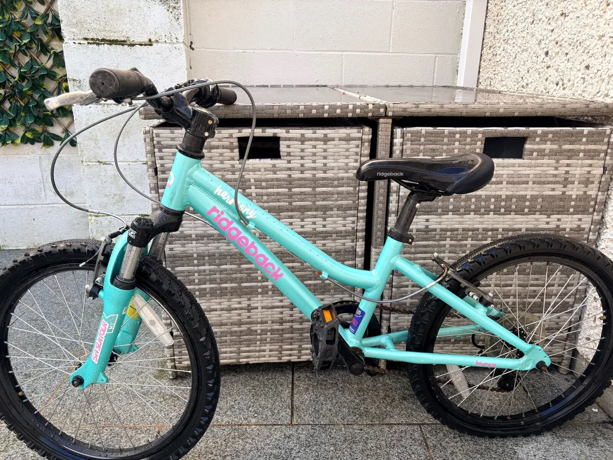 Child's bike - Image 1