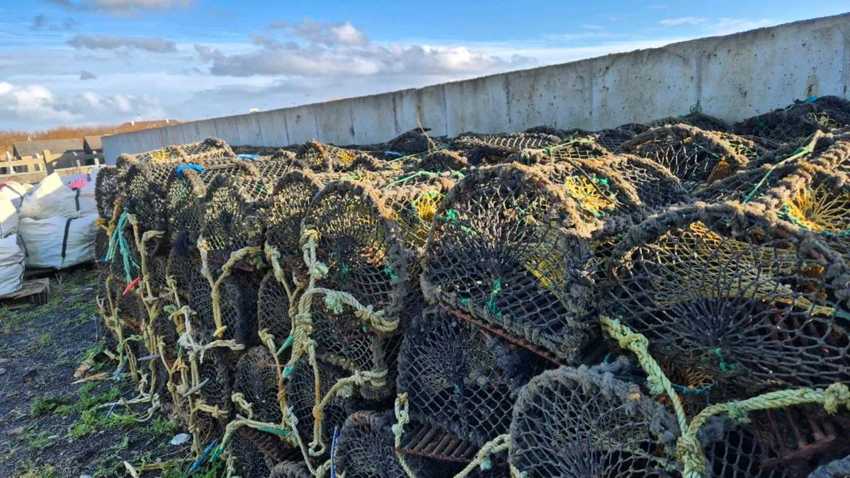 Lobster Pots - Image 1