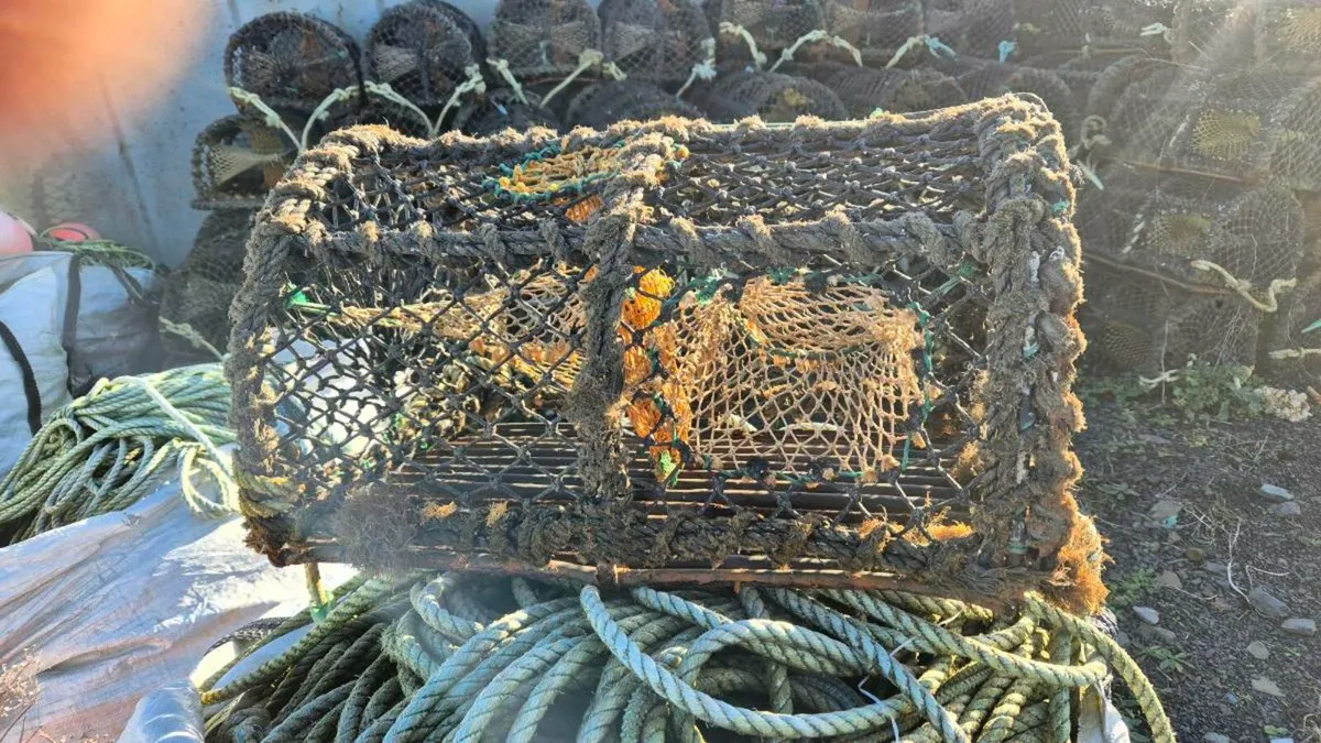 Lobster Pots - Image 3