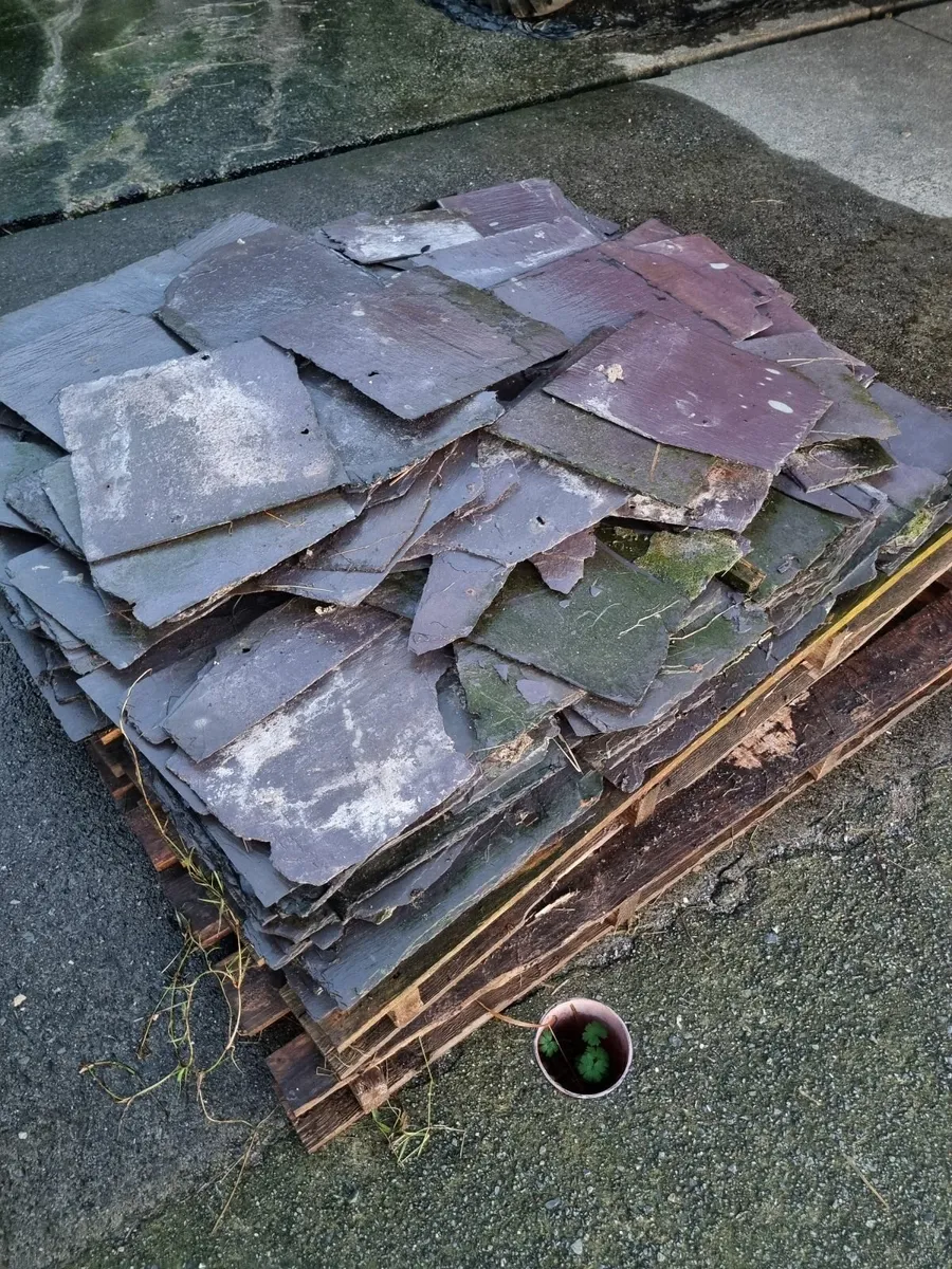 Broken Old Natural Slates - Image 1