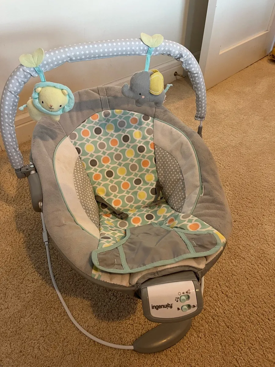 Baby Bouncer - Image 1