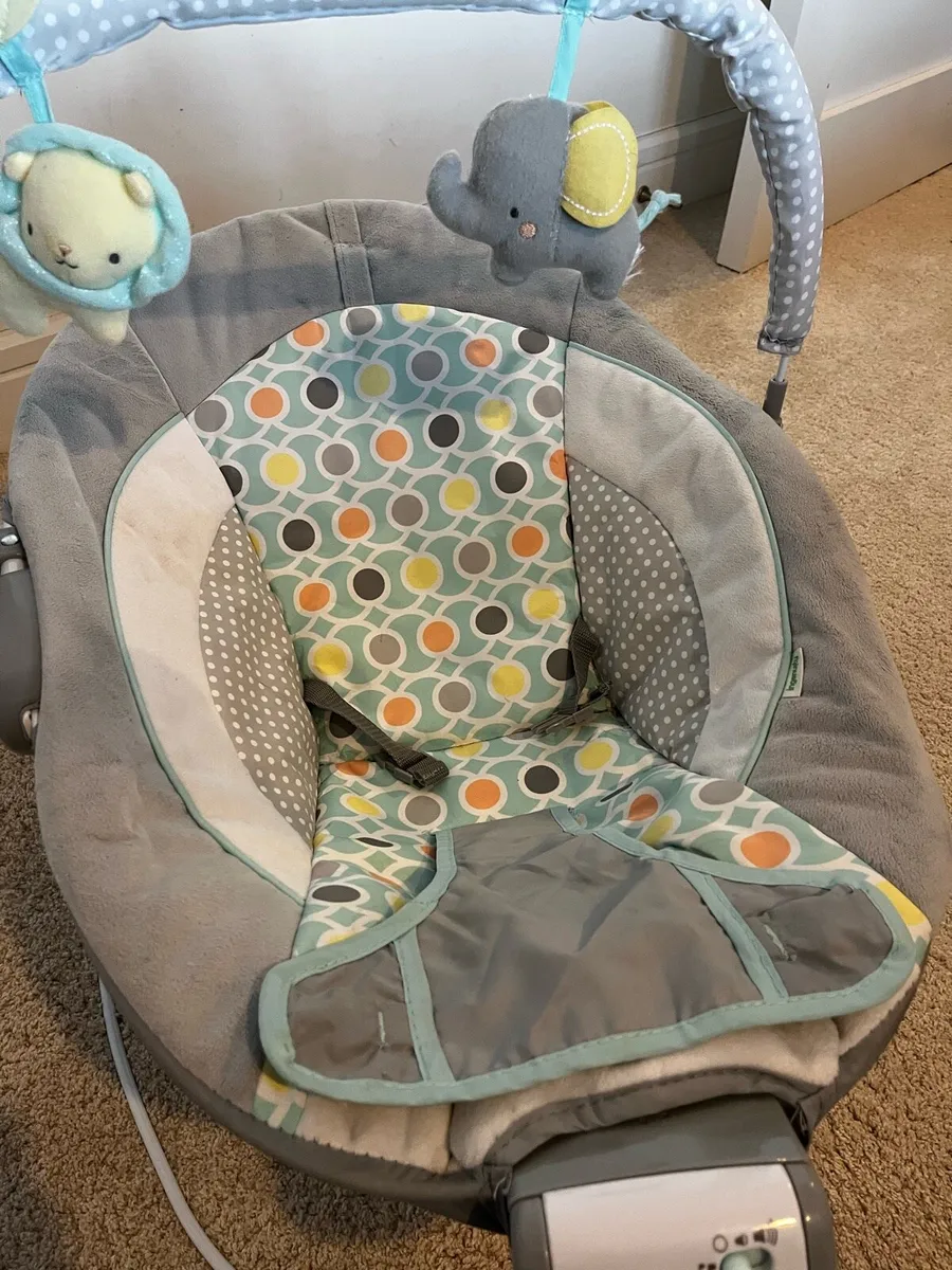 Baby Bouncer - Image 2