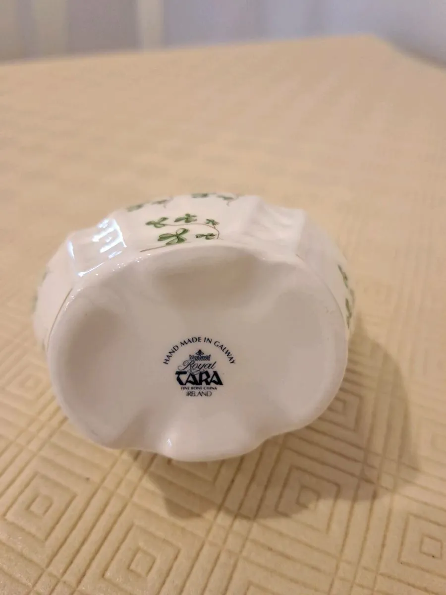 Royal Tara Smamrock - Image 4