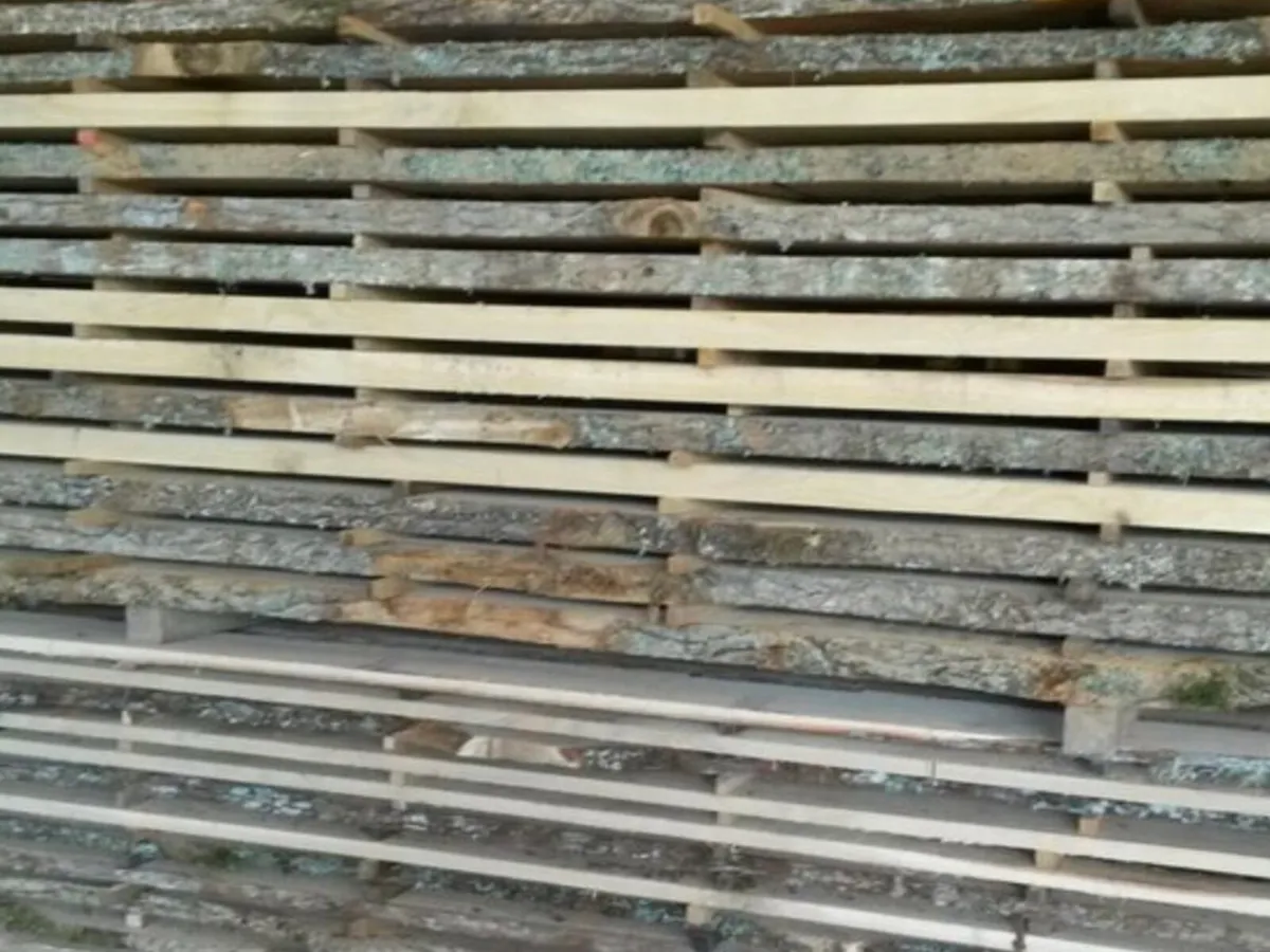 Solid oak planks - Image 2