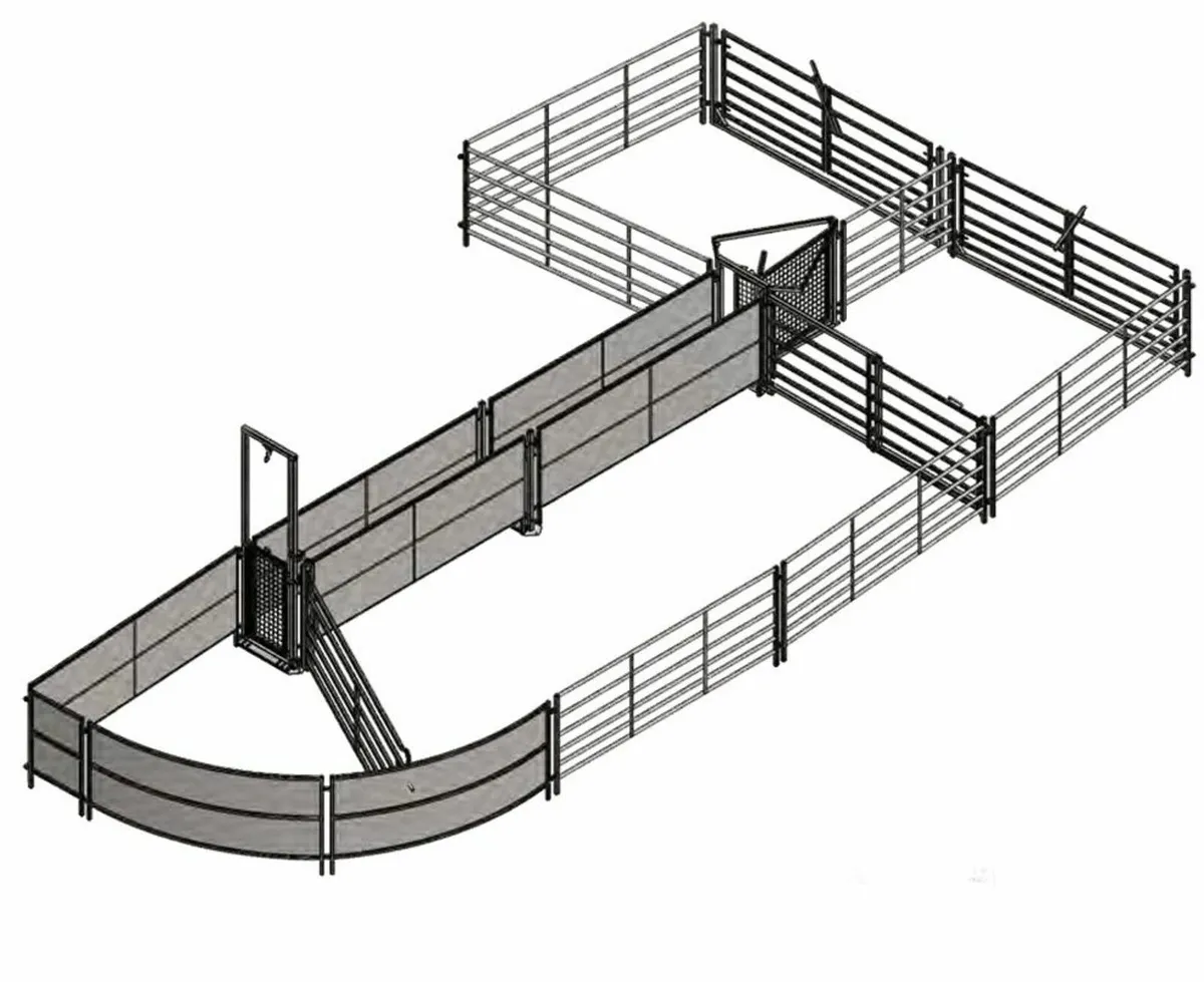 Race sytem set - Image 2