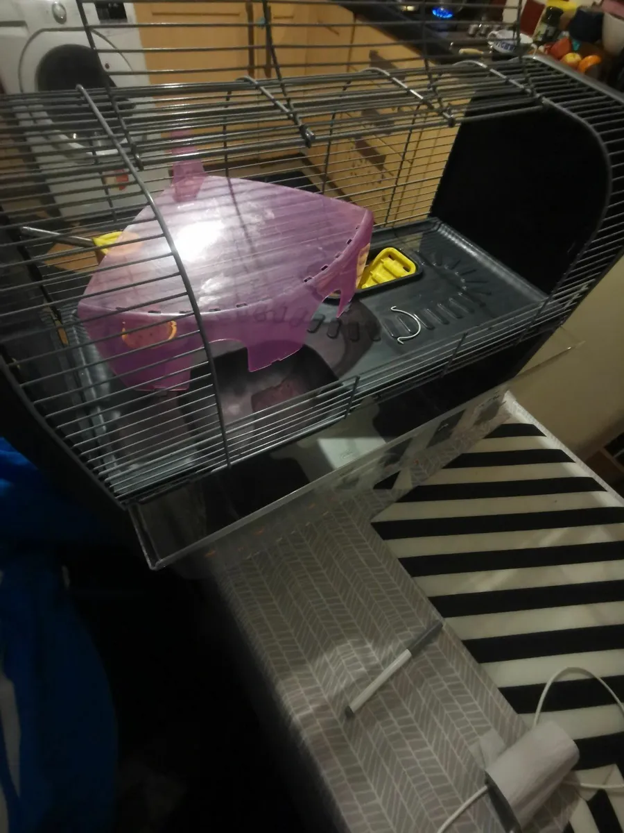 Gallery Detail: Geneva Luxury Hamster Cage Full Set For Sale In Co