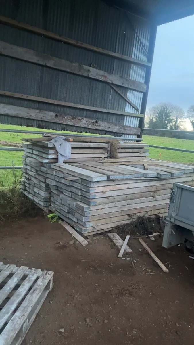 Scaffolding - Image 3