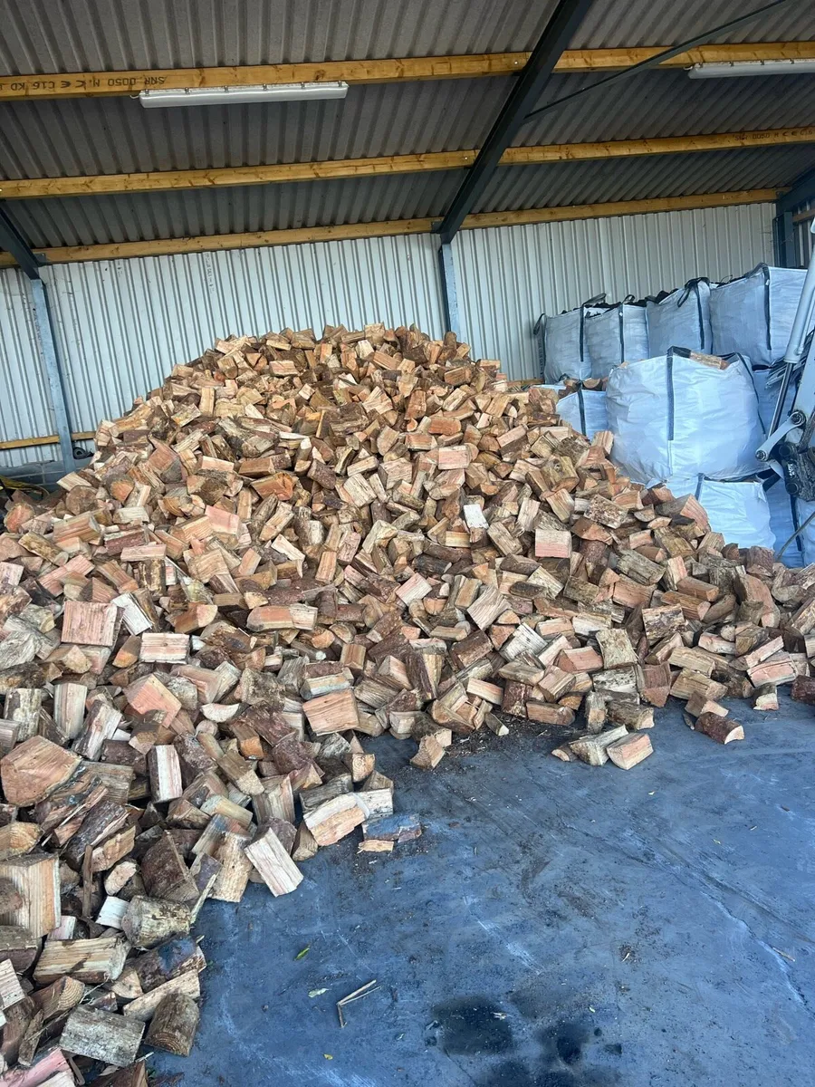 Hardwood logs - Image 1