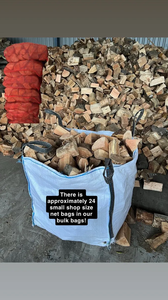 Hardwood logs - Image 3