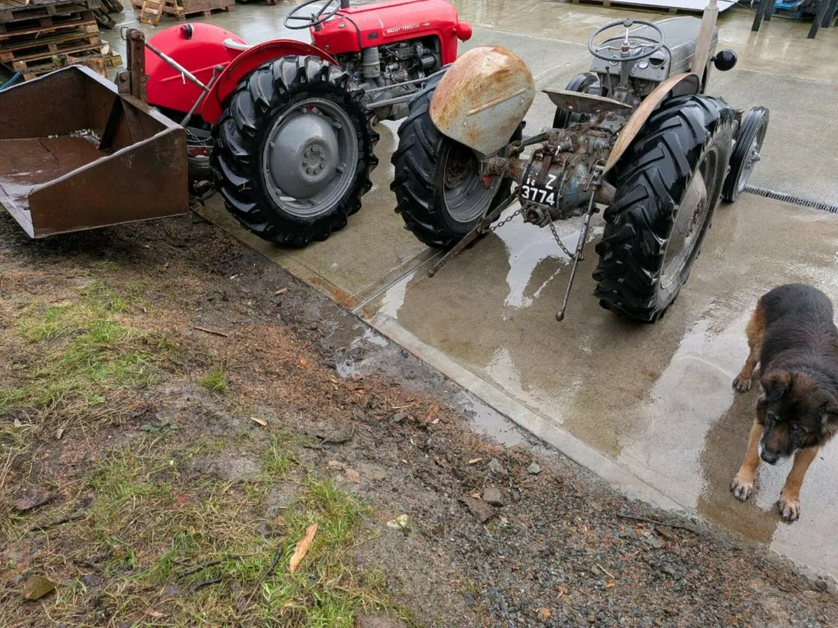 1947 ferguson tvo 20 - Image 3