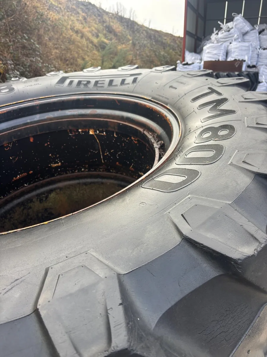 Full set of stocks dual’s 540’s /650’s - Image 2