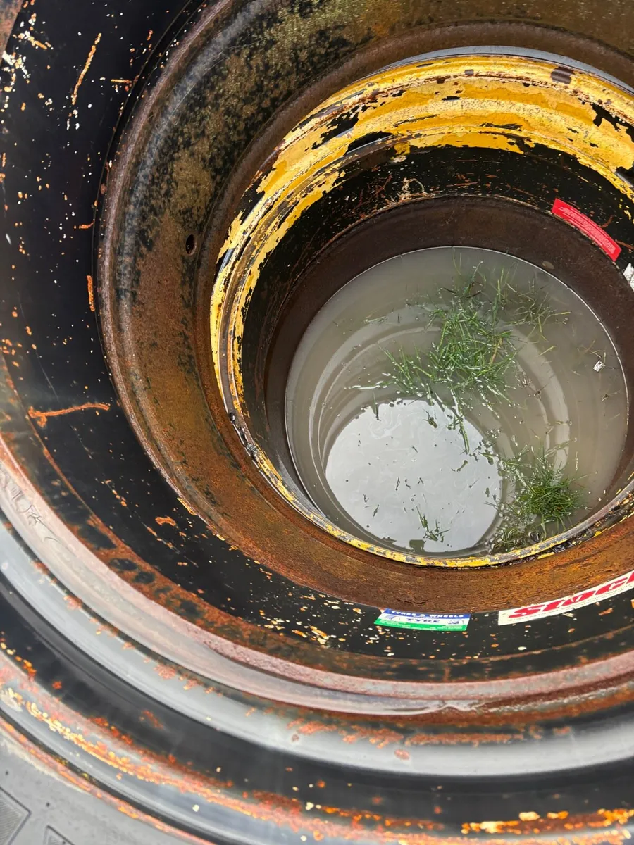 Full set of stocks dual’s 540’s /650’s - Image 3