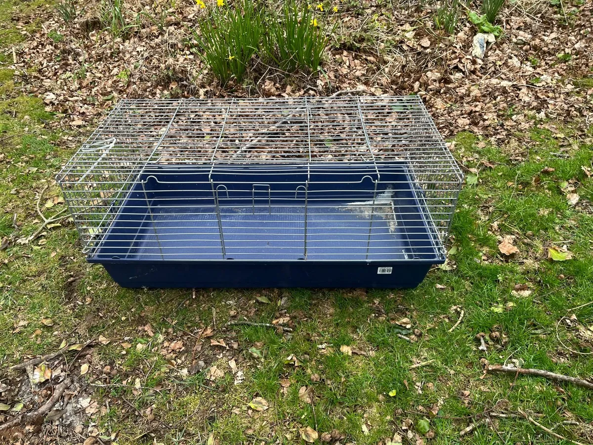 Rabbit hutch - delux - Image 4