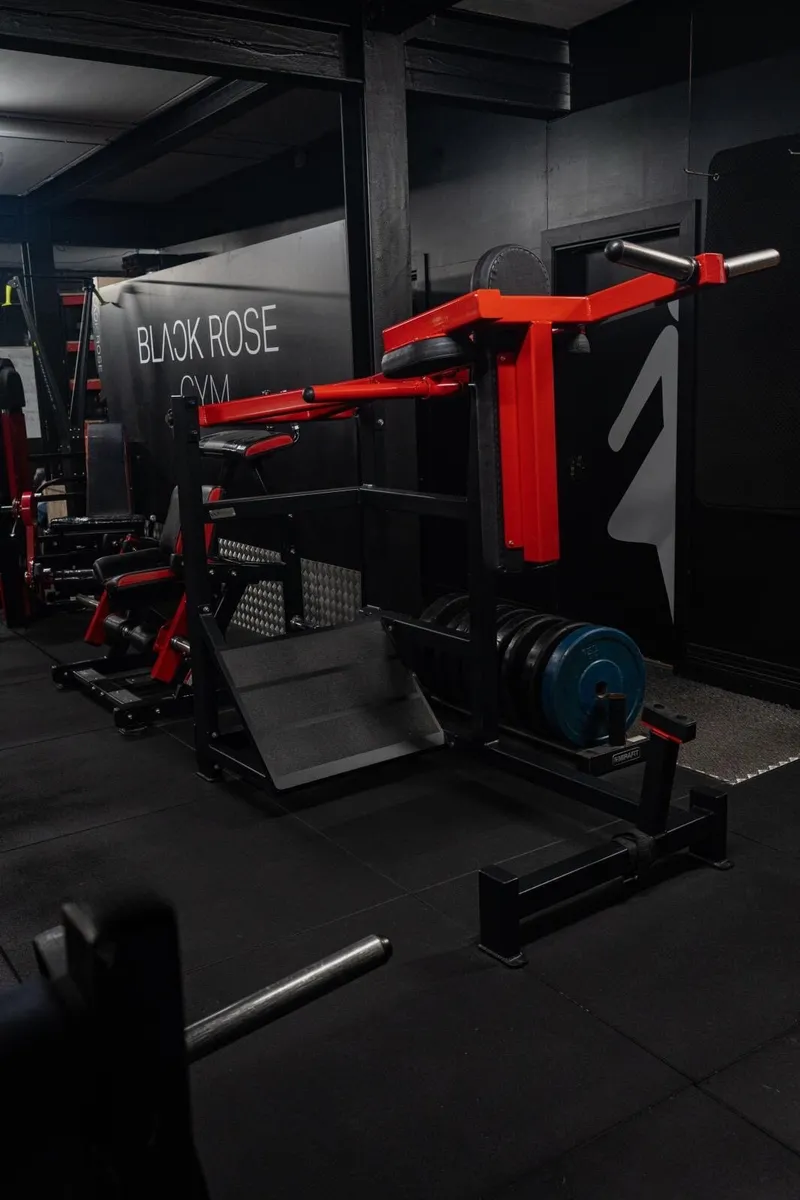 Watson Pendulum Squat - Image 1