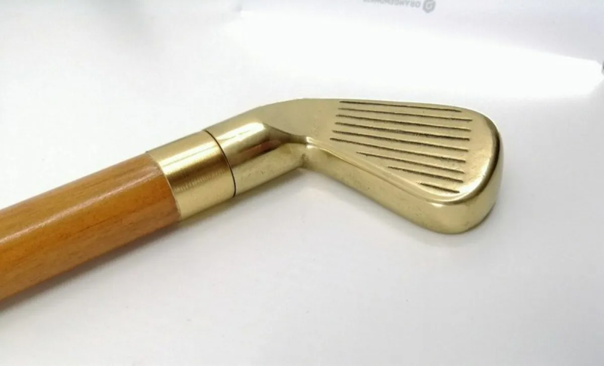 Vintage Walking/Drinking Stick - Image 1