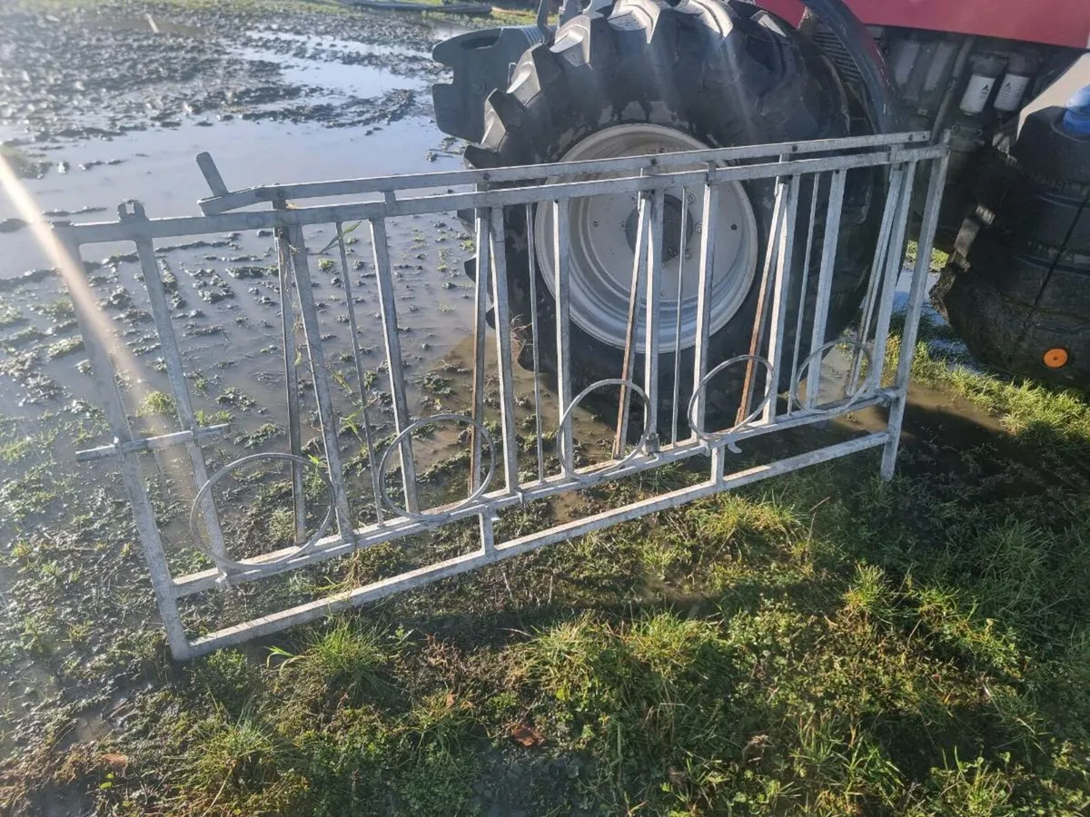 Calf pens - Image 2