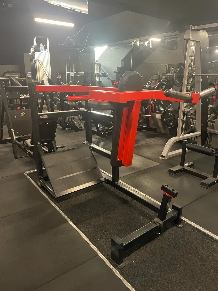 Watson Pendulum Squat - Image 4