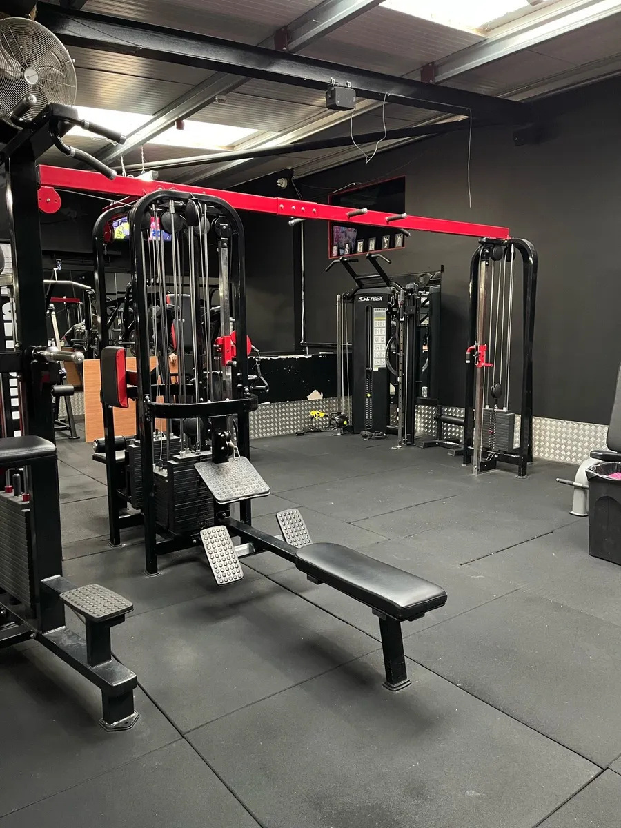 Realleader Multi Jungle 6 Station - Image 4