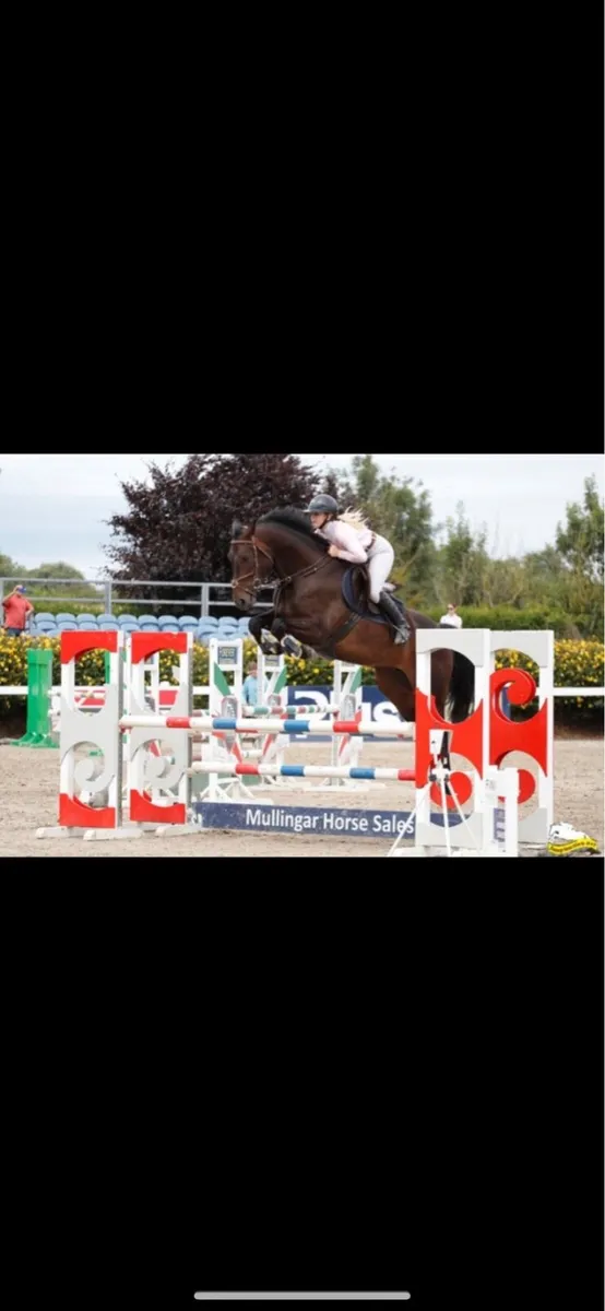 ✨Cruise✨ - Image 1