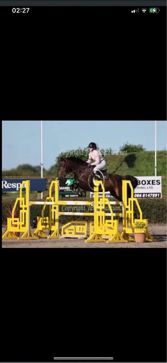 ✨Cruise✨ - Image 2