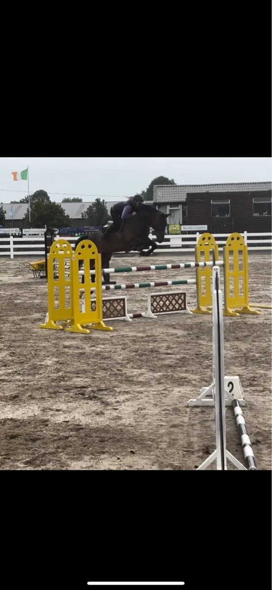 ✨Cruise✨ - Image 3