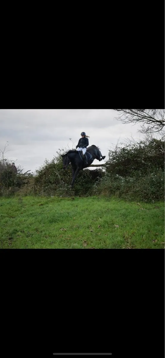 ✨Cruise✨ - Image 4