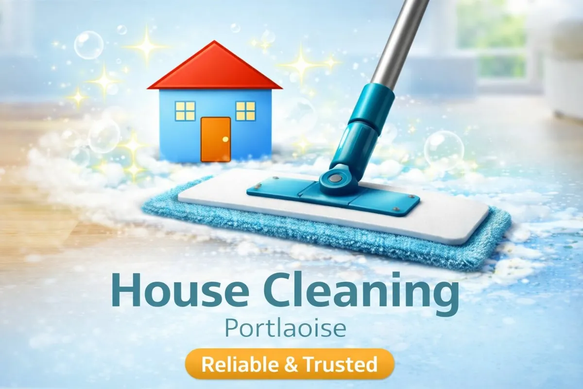 Professional House Cleaning - Portlaoise - €20/h