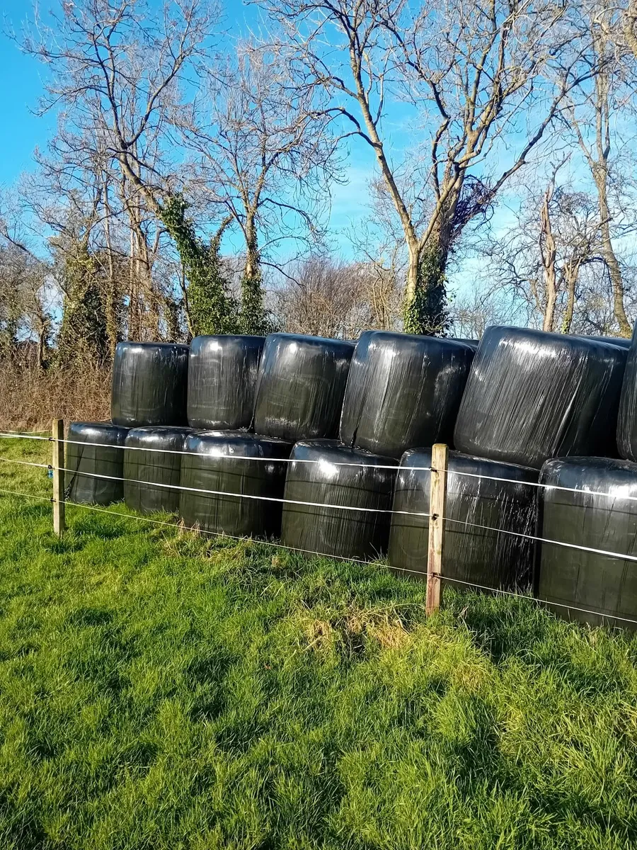 Round bales silage - Image 3