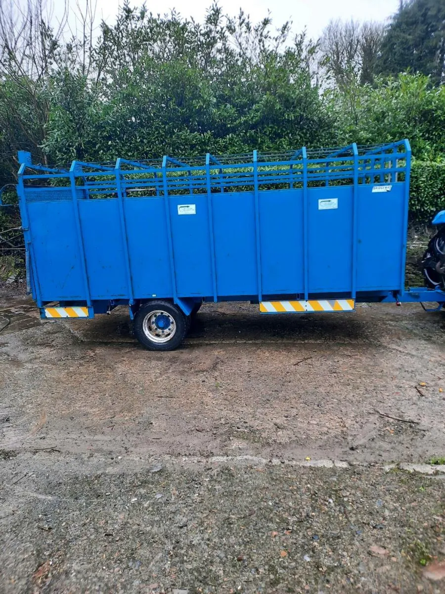 Cattle Trailer - Image 2